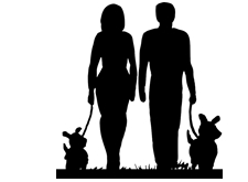Vrouw en man die samen wandelen, elk met een hond