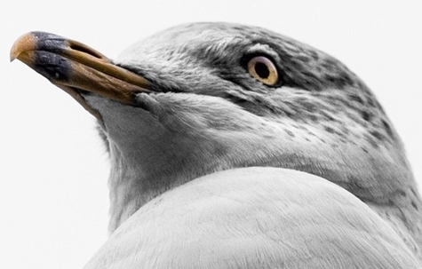 UNIEK MULTI-ZINTUIGLIJK THEATERPROJECT