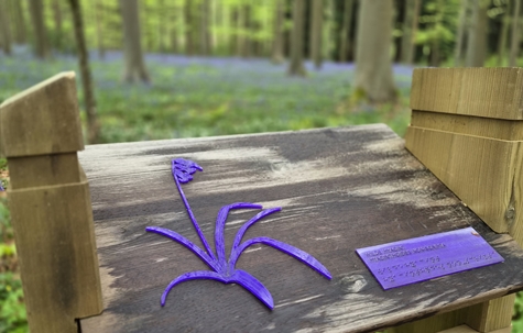 TOEGANKELIJKE BOEMENPRACHT in het HALLERBOS